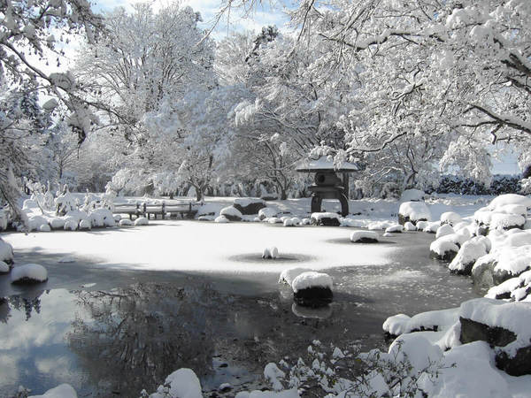 Former Ikeda Family Garden | TOHOKU x TOKYO (JAPAN)