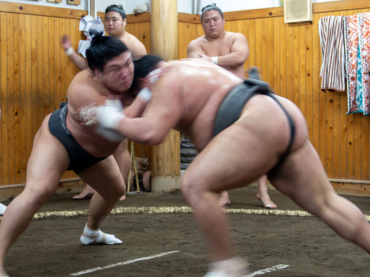 Sumo Stable (Arashio)