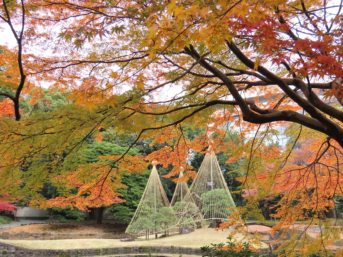 Koishikawa Korakuen Gardens_1