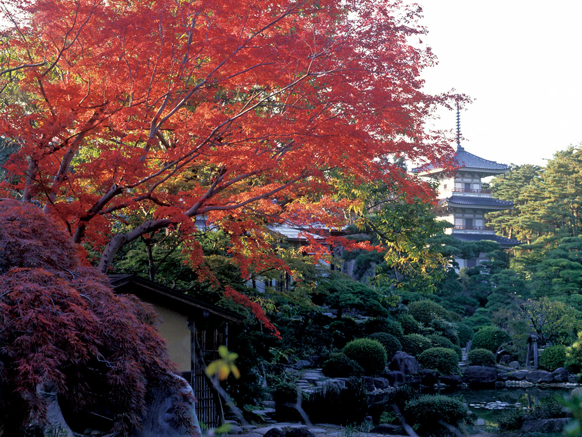 Rinno-ji Temple_2